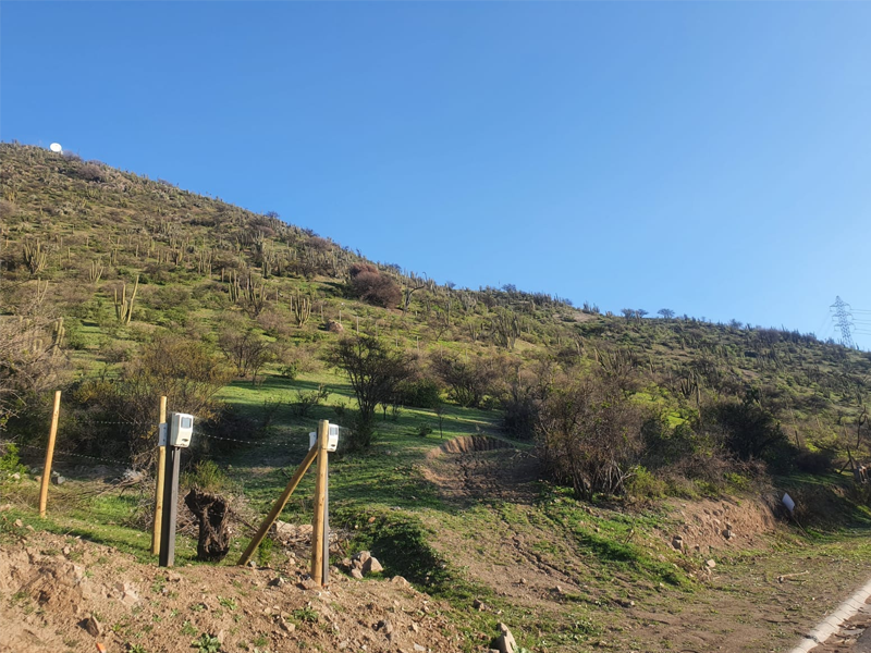 Buin